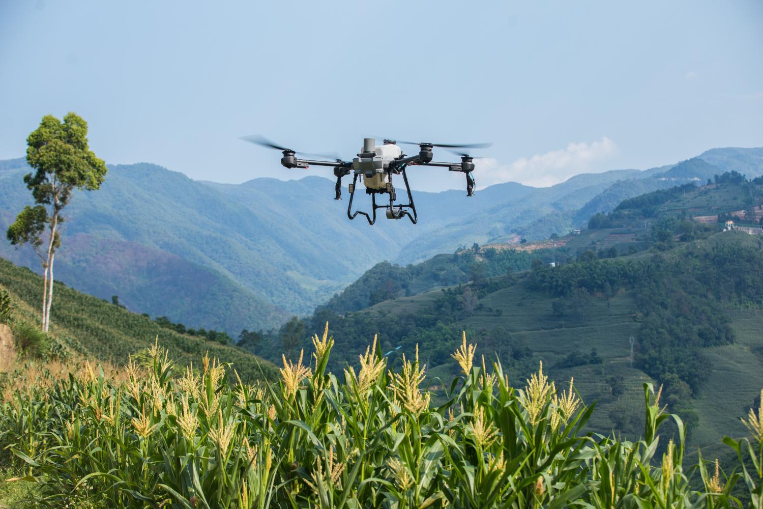 Thumbnail for DJI Agras T25P Lands in Australia